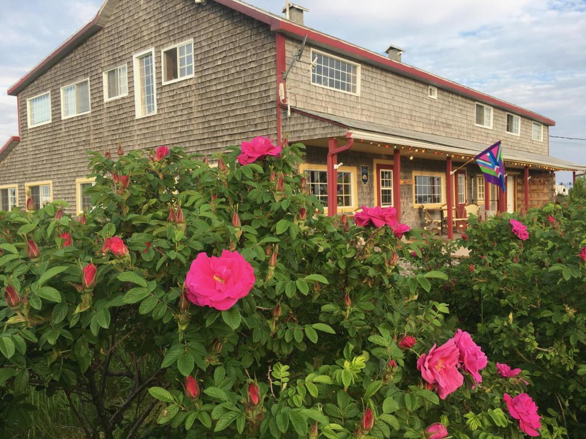 בונהוונטור Auberge Cafe Acadien מראה חיצוני תמונה